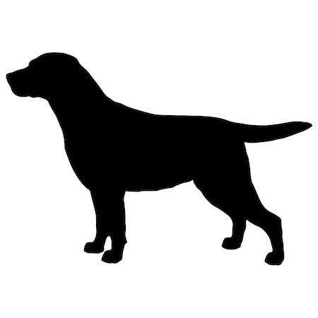 retriever silhouette - Black and white silhouette of dog labrador. Illustration of a pet Stock Photo - Budget Royalty-Free & Subscription, Code: 400-09064460