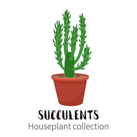 Cactus icons in cartoon flat style isolated on white background. Home plants cactus in pots and with flowers. A variety of decorative cactus with prickles and without. Foto de stock - Royalty-Free Super Valor e Assinatura, Número: 400-09064474