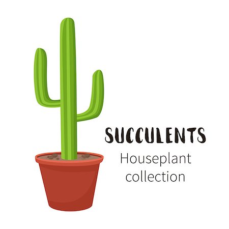 Cactus icons in cartoon flat style isolated on white background. Home plants cactus in pots and with flowers. A variety of decorative cactus with prickles and without. Foto de stock - Royalty-Free Super Valor e Assinatura, Número: 400-09064475
