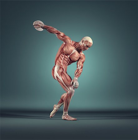 simsearch:400-04155414,k - The sportman throwing disc. The  muscular system.  This is a 3d render illustration Photographie de stock - Aubaine LD & Abonnement, Code: 400-09064499