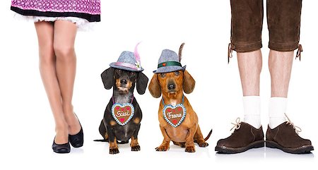 simsearch:400-08163219,k - bavarian dachshund or sausage  dogs couple with  gingerbread with owner  isolated on white background , ready for the beer celebration festival in munich, Photographie de stock - Aubaine LD & Abonnement, Code: 400-09064751