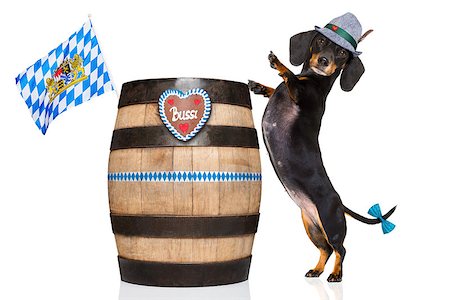 simsearch:400-08163219,k - bavarian dachshund or sausage  dog with  gingerbread and  barrel   isolated on white background , ready for the beer celebration festival in munich, Photographie de stock - Aubaine LD & Abonnement, Code: 400-09064784