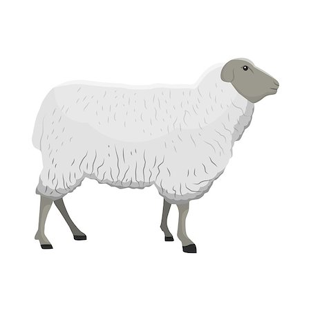 Vector illustration of a sheep on white background. Farm animals topic. Foto de stock - Super Valor sin royalties y Suscripción, Código: 400-09065068