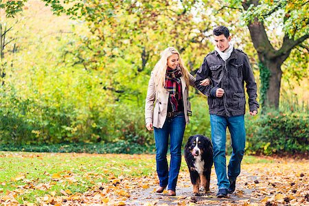 simsearch:400-09136205,k - Woman and man with dog having autumn walk on a path covered with foliage Stockbilder - Microstock & Abonnement, Bildnummer: 400-09065270