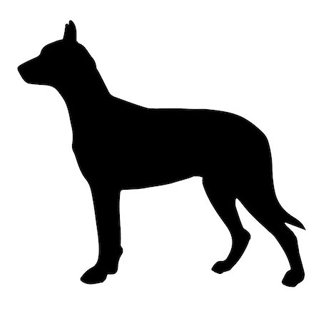 simsearch:400-09091868,k - Black and white silhouette of a dog. Pointer or Pinscher. On the hunt Fotografie stock - Microstock e Abbonamento, Codice: 400-09065558