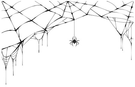 simsearch:400-08200203,k - Black spider and torn web. Scary spiderweb of halloween symbol. Isolated on white vector illustration Foto de stock - Royalty-Free Super Valor e Assinatura, Número: 400-09065793