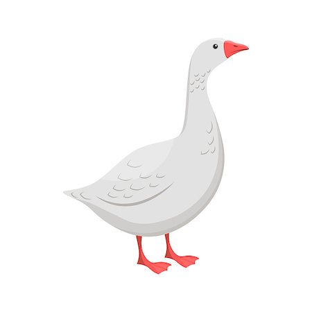 Vector illustration of a goose on white background. Farm animals topic. Foto de stock - Royalty-Free Super Valor e Assinatura, Número: 400-09066037