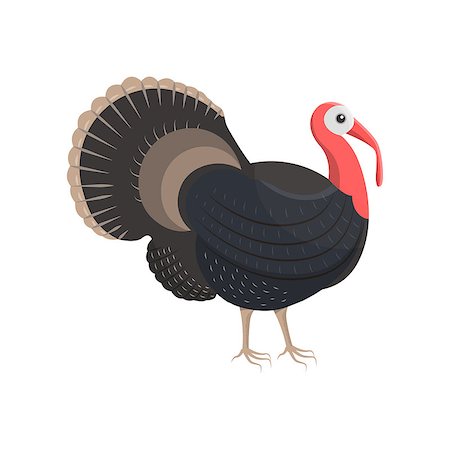 Vector illustration of a turkey-cock on white background. Farm animals topic. Foto de stock - Royalty-Free Super Valor e Assinatura, Número: 400-09066038