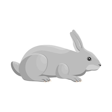 Vector illustration of a rabbit on white background. Farm animals topic. Foto de stock - Royalty-Free Super Valor e Assinatura, Número: 400-09066039