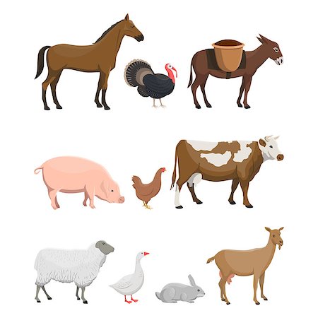 Vector illustration set of farm animals such as horse, turkey-cock, donkey, pig, chicken, cow, ewe, goose, rabbit and goat on white background. Foto de stock - Super Valor sin royalties y Suscripción, Código: 400-09066044