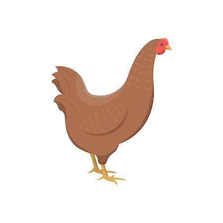 Vector illustration of a chicken on white background. Farm animals topic. Foto de stock - Super Valor sin royalties y Suscripción, Código: 400-09066042