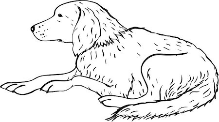Stylized labrador or setter dog art line design. Artistic animal silhouette. Symbol 2018 year Photographie de stock - Aubaine LD & Abonnement, Code: 400-09066545