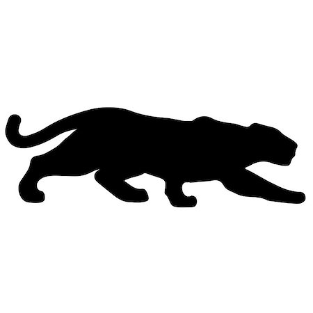 snarling mountain lion animal - Black panther creeps up to victim. Vector Stock Photo - Budget Royalty-Free & Subscription, Code: 400-09066961