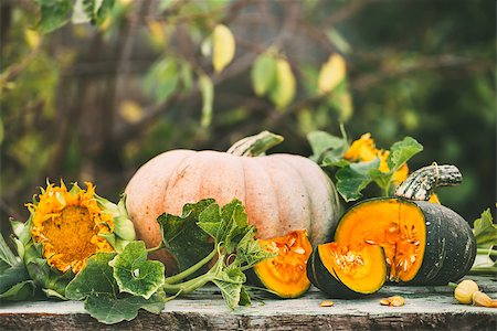 Organic raw pumpkins in the open air. Autumn food background. Fotografie stock - Microstock e Abbonamento, Codice: 400-09067233