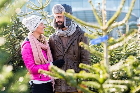 Couple buying Christmas tree on market looking into camera Stock Photo - Budget Royalty-Free & Subscription, Code: 400-09067691