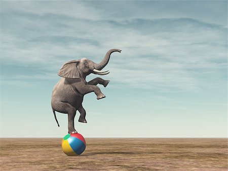 Surreal image of an elefant balancing on a beach ball - 3d render illustration Stock Photo - Budget Royalty-Free & Subscription, Code: 400-09067950