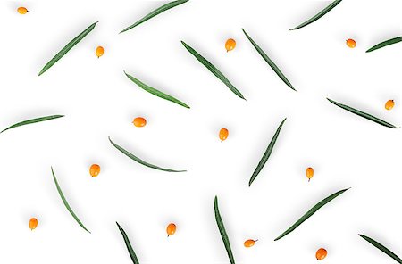 Berries of sea-buckthorn with leaves isolated on white background. Top view. Stock Photo - Budget Royalty-Free & Subscription, Code: 400-09068065