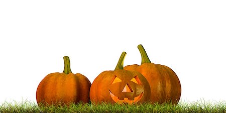spooky field - 3d illustration of Halloween pumpkins isolated on white background Stock Photo - Budget Royalty-Free & Subscription, Code: 400-09068120