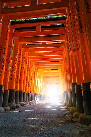 simsearch:400-05304973,k - Fushimi Inari Taisha torii shrine, Kyoto, Japan Foto de stock - Royalty-Free Super Valor e Assinatura, Número: 400-09068421