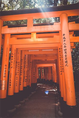 simsearch:400-05304973,k - Fushimi Inari Taisha torii shrine, Kyoto, Japan Foto de stock - Royalty-Free Super Valor e Assinatura, Número: 400-09068422