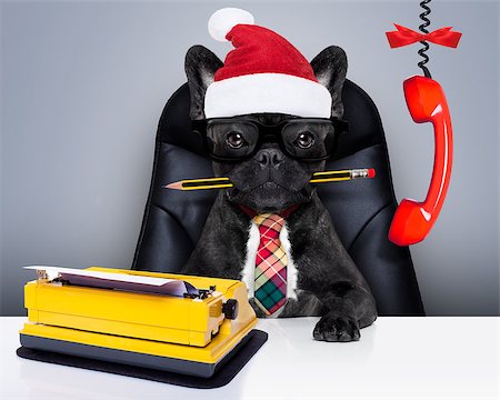 french bulldog office - office businessman french bulldog dog  as  boss and chef , with typewriter as a secretary,  sitting on leather chair and desk, in need for vacation, on christmas holidays with santa claus hat Stock Photo - Budget Royalty-Free & Subscription, Code: 400-09068908