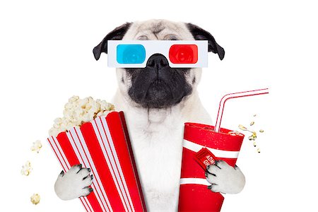 simsearch:400-09091954,k - pug dog watching a movie in a cinema theater, with soda and popcorn wearing  3d glasses, isolated on white background Stock Photo - Budget Royalty-Free & Subscription, Code: 400-09068926