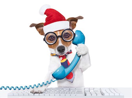 simsearch:400-07984991,k - crazy jack russell dog with nerd glasses as an office business worker on the phone or telephone, isolated on white background, on christmas holidays vacation with santa claus hat Photographie de stock - Aubaine LD & Abonnement, Code: 400-09068922