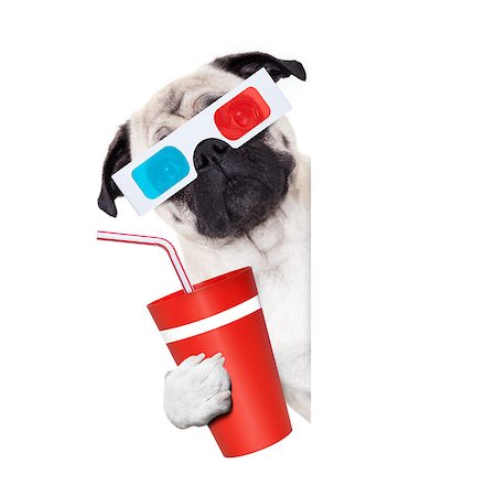 simsearch:400-07055954,k - pug dog at the cinema watching the  movies  with 3d glasses isolated on white background , with soda beverage Stockbilder - Microstock & Abonnement, Bildnummer: 400-09068935