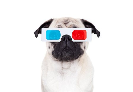 simsearch:400-07055954,k - pug dog at cinema watching the  movies  with 3d glasses isolated on white background Stockbilder - Microstock & Abonnement, Bildnummer: 400-09068936