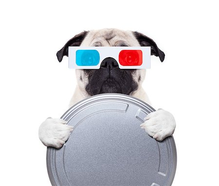 simsearch:400-09091954,k - pug dog watching a  movie  with 3d glasses and a  cinema tin roll, isolated on white background Stock Photo - Budget Royalty-Free & Subscription, Code: 400-09068937