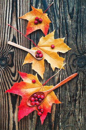 phantom1311 (artist) - berries of cranberries and a wooden spoon on a maple leaf on a wooden background Stock Photo - Budget Royalty-Free & Subscription, Code: 400-09068980