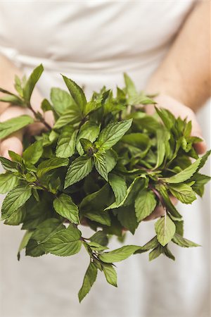 simsearch:400-04062145,k - a bunch of fresh mint in male hands, close-up, retro toning. Stock Photo - Budget Royalty-Free & Subscription, Code: 400-09068981