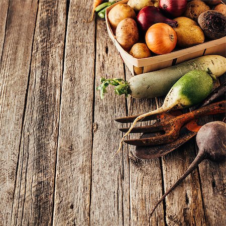 simsearch:400-06701002,k - Fresh produce, potatoes, onions, beets, carrots. Different vegetables. Stock Photo - Budget Royalty-Free & Subscription, Code: 400-09069107