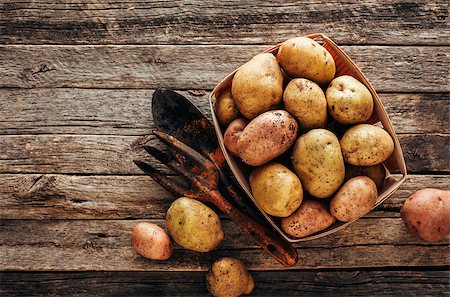 simsearch:400-06701002,k - Fresh organic potatoes Stock Photo - Budget Royalty-Free & Subscription, Code: 400-09069108