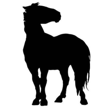 simsearch:400-07316355,k - rearing up horse fine vector silhouette and outline - graceful black stallions against white Stock Photo - Budget Royalty-Free & Subscription, Code: 400-09069158