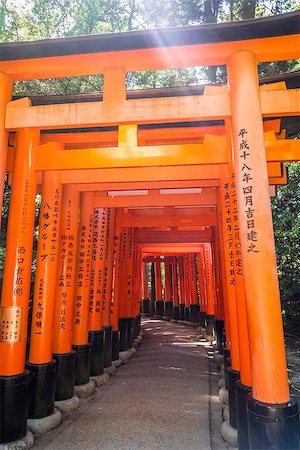 simsearch:400-05304973,k - Fushimi Inari Taisha torii shrine, Kyoto, Japan Foto de stock - Royalty-Free Super Valor e Assinatura, Número: 400-09069289