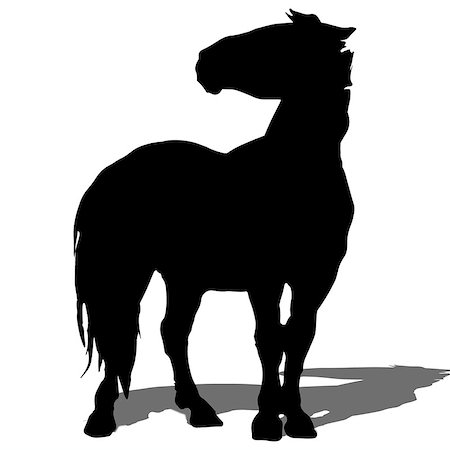 simsearch:400-07316355,k - rearing up horse fine vector silhouette and outline - graceful black stallions against white Stock Photo - Budget Royalty-Free & Subscription, Code: 400-09069578