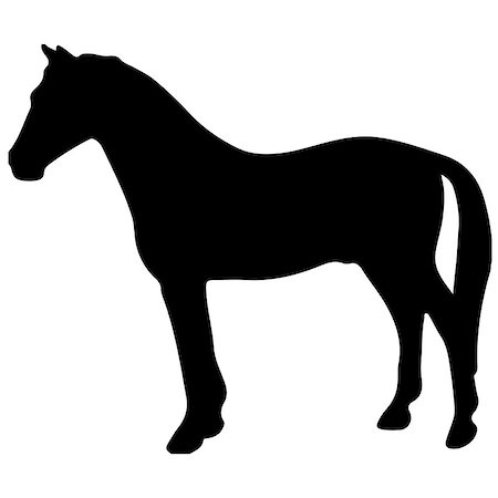 simsearch:400-07316355,k - rearing up horse fine vector silhouette and outline - graceful black stallions against white Stock Photo - Budget Royalty-Free & Subscription, Code: 400-09069579