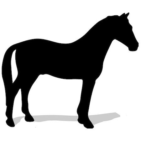 simsearch:400-07316355,k - rearing up horse fine vector silhouette and outline - graceful black stallions against white Stock Photo - Budget Royalty-Free & Subscription, Code: 400-09069580