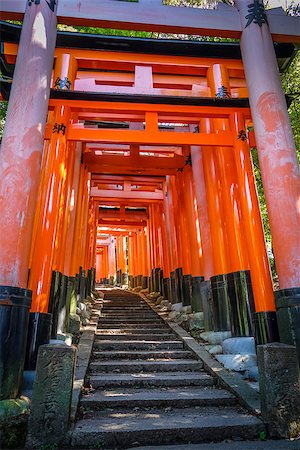 simsearch:400-05304973,k - Fushimi Inari Taisha torii shrine, Kyoto, Japan Foto de stock - Royalty-Free Super Valor e Assinatura, Número: 400-09069905