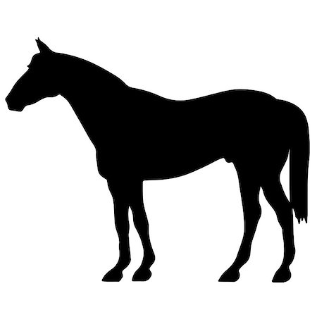 simsearch:400-07316355,k - rearing up horse fine vector silhouette and outline - graceful black stallions against white Stock Photo - Budget Royalty-Free & Subscription, Code: 400-09069942