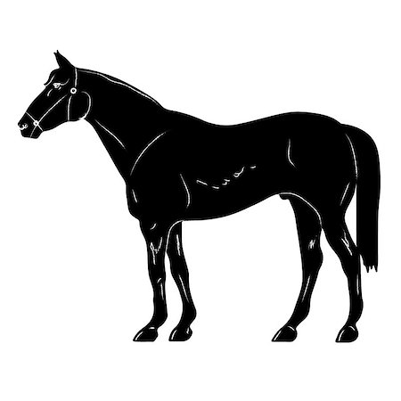 simsearch:400-07316355,k - rearing up horse fine vector silhouette and outline - graceful black stallions against white Stock Photo - Budget Royalty-Free & Subscription, Code: 400-09069943