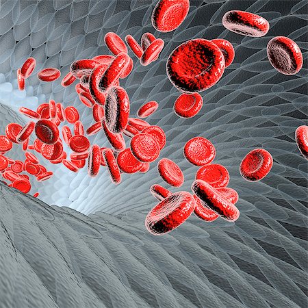 Blood vessel with flowing blood cells, scientific or medical or microbiological concept, 3d rendering illustration Photographie de stock - Aubaine LD & Abonnement, Code: 400-09062662