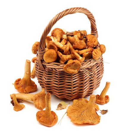 simsearch:400-08011809,k - Arrangement of Raw Chanterelles with Dry Leafs and Stems in Wicker Basket closeup on White background Photographie de stock - Aubaine LD & Abonnement, Code: 400-09062866