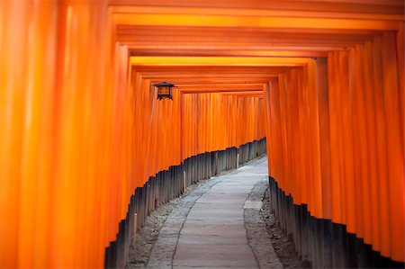 simsearch:400-05304973,k - Tunnel of red votive Buddhist Torii gates at the Fushimi Inari-taisha shrine, Japan leading uphill towards the temple in a disappearing curve Foto de stock - Royalty-Free Super Valor e Assinatura, Número: 400-09063312