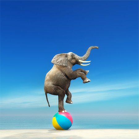 elephant balancing - An elephant on a beach ball on the seashore. This is a 3d render illustration Stock Photo - Budget Royalty-Free & Subscription, Code: 400-09063736