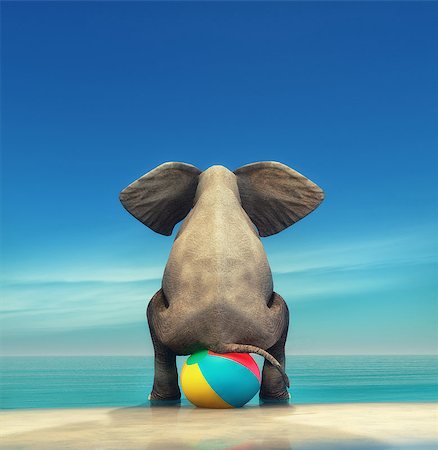 elephant balancing - An elephant on a beach ball on the seashore. This is a 3d render illustration Stock Photo - Budget Royalty-Free & Subscription, Code: 400-09063737