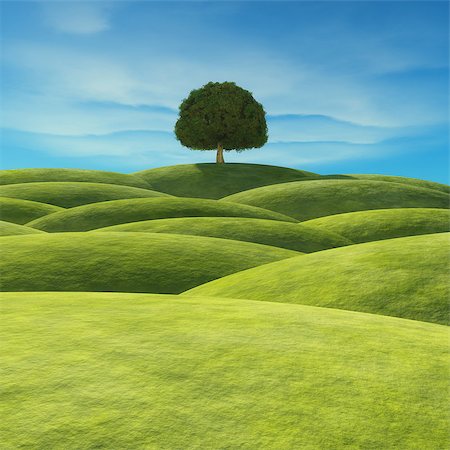 A tree with green leaves on the hill. This is a 3d render illustration Stock Photo - Budget Royalty-Free & Subscription, Code: 400-09063774