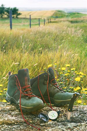 Hiking boots with knife and compass on tree log in field of wild flowers Stock Photo - Budget Royalty-Free & Subscription, Code: 400-09063921