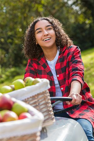 Beautiful happy mixed race African American girl teenager female young woman smiling with perfect teeth in an orchard driving a tractor with baskets of organic apples she has been picking Foto de stock - Super Valor sin royalties y Suscripción, Código: 400-09070032
